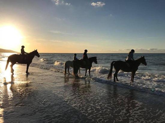 Les Pieds Dans L'Eau - Acces Direct A La Plage Bernières-sur-Mer Dış mekan fotoğraf