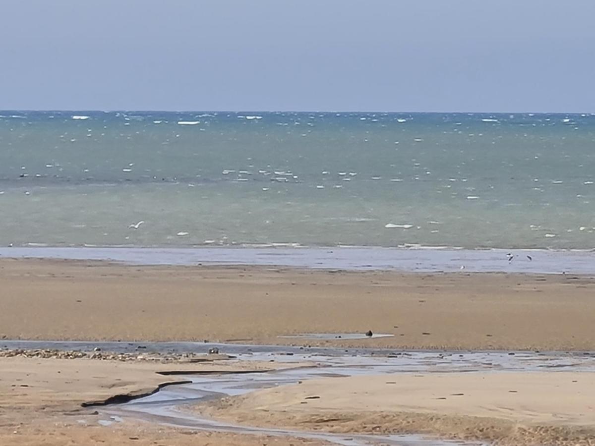 Les Pieds Dans L'Eau - Acces Direct A La Plage Bernières-sur-Mer Dış mekan fotoğraf